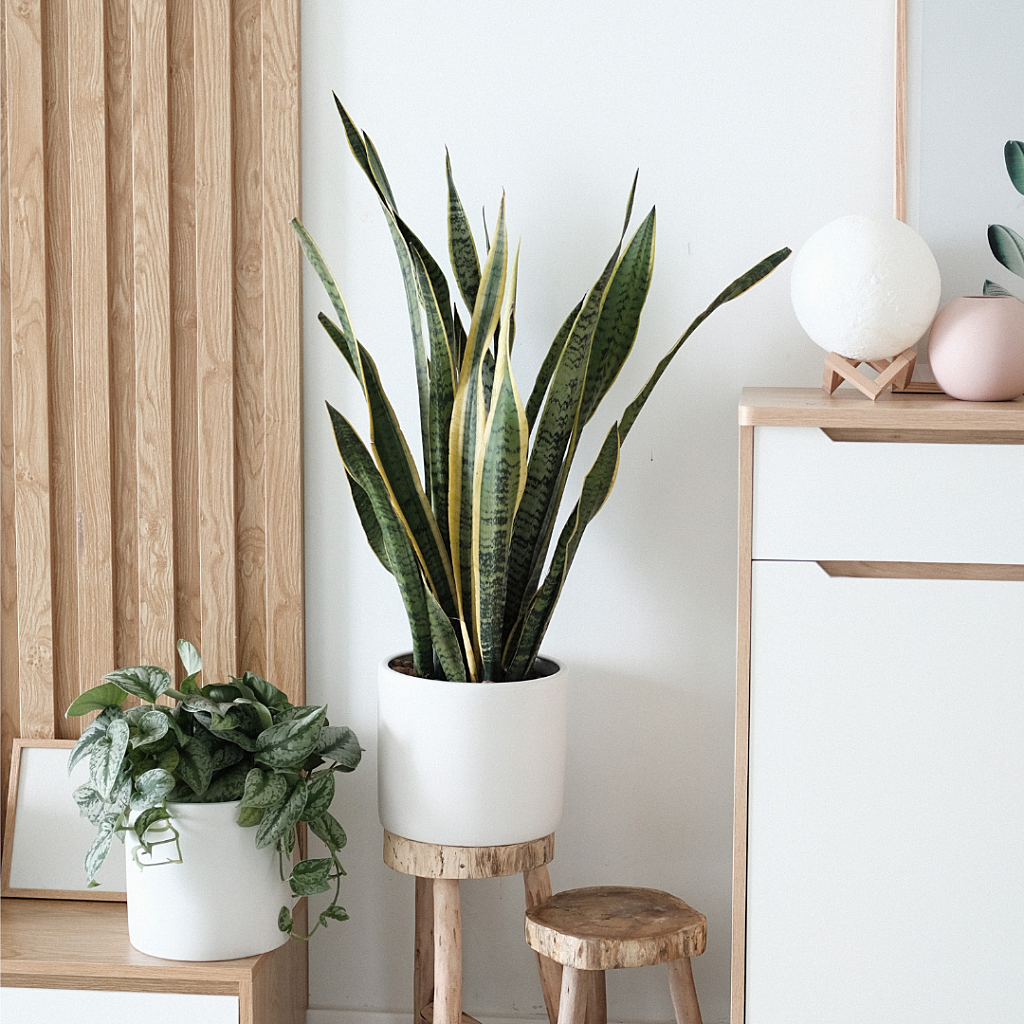 Untitled design 2023 03 14 T134917 698