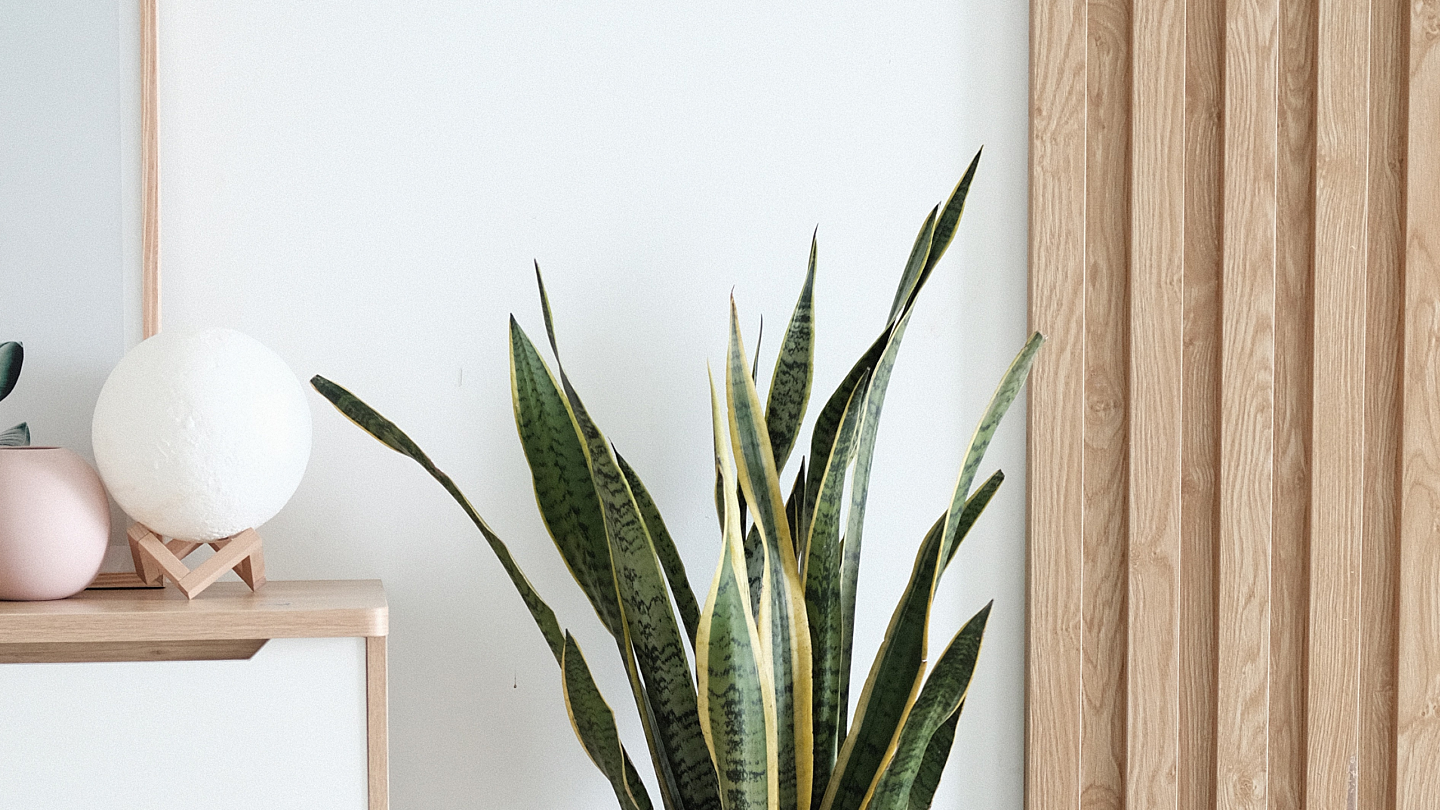 House Land Package header image 2023 03 14 T134621 101