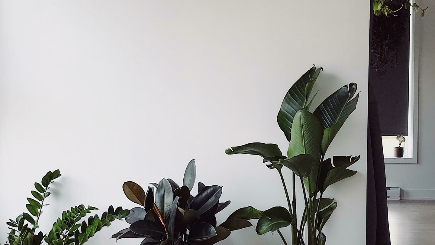 Placeholder content image 6